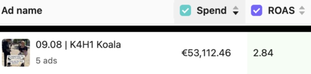 Meta Ads Manager screenshot for Pulse of Potential showing €53,112.46 spend and a 2.84 return against a grouping labelled 5 ads